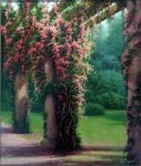 Arbor Walk - 36" x 30" - Oil on Canvas - Edward Szmyd