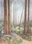 The Redwoods - 30" x 22" - Watercolor - Gerald Brommer