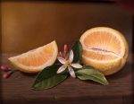Lemon & Lemon Blossom | 8" x 10" | Jared Sines