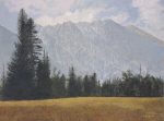 Reaching for the Sky | 30″ x 40″ | Jim Miller