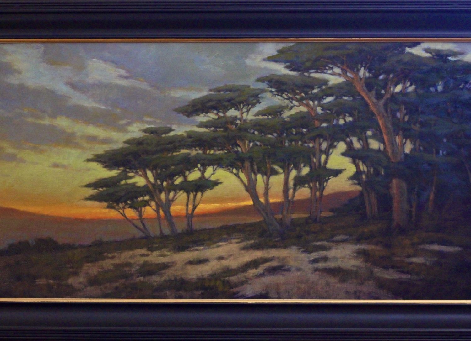 A Quiet Place | 24" x 48" | Curry