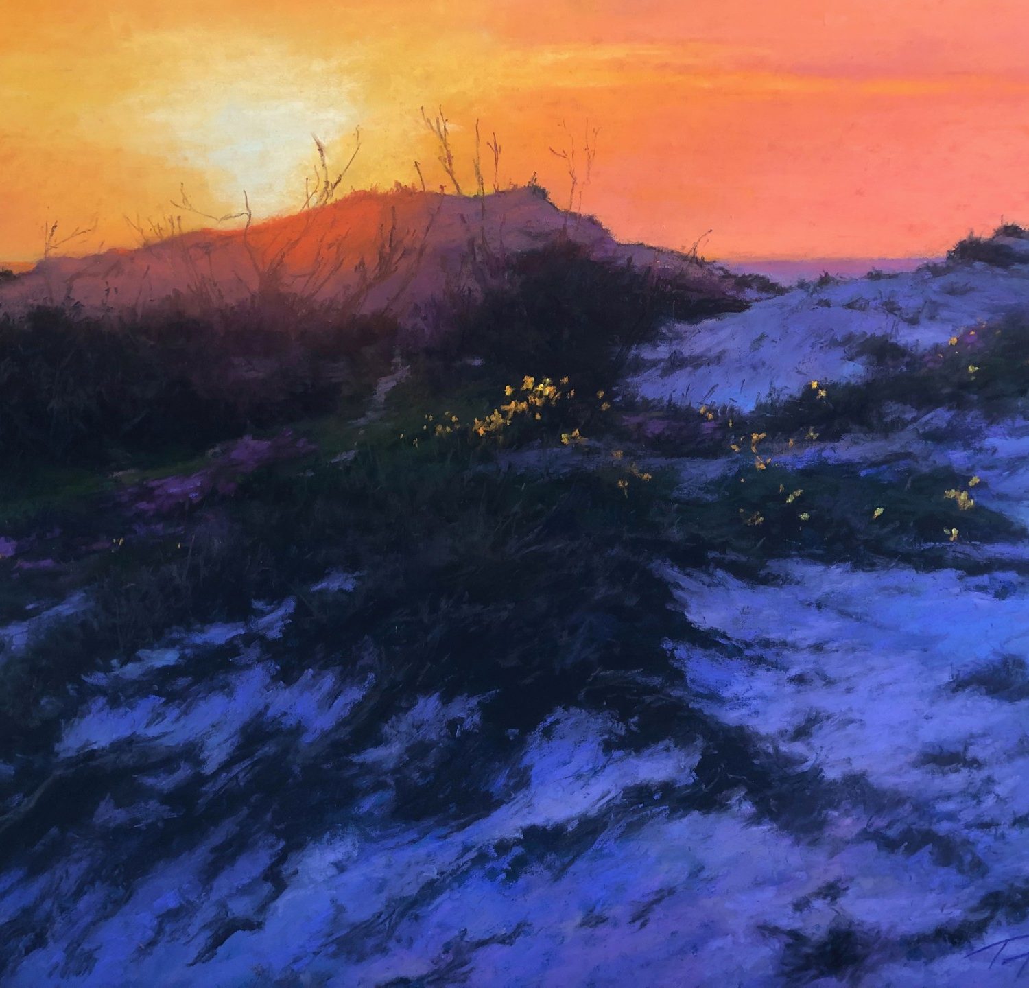 Dune Sunset | 18" x 24" | Ford