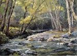 Carmel River | 16" x 20" | Yu