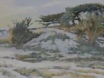 Cypress Garden | 20" x 26" | Ford
