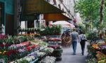 Parisian Flower Market | 15" x 24" | Navarro