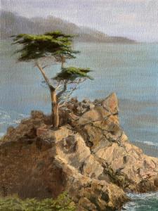Lone Cypress | 12" x 9" | Linda Petrie Bunch