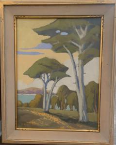 Cypress on Hill | 30" x 24" | Cassinetto