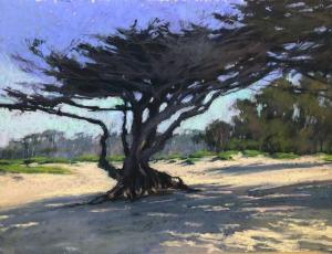 Carmel Beach Cypress | 12" x 16" | Terri Ford