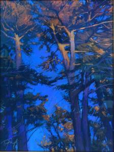 Sunset Cypress | 16" x 12" | Terri Ford