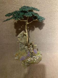Cypress 14 | Holt
