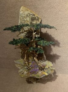 Cypress 17 | Holt