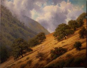 Toro Hills Monterey | 11" x 14" | Linsky