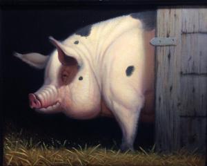 Peek a Boo Pig | 11" x 14" | Lithgow