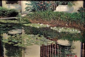 Water Garden Paradise | 24″ x 36″ | Jim Miller