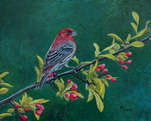 Emeral Forest House Finch Male | 8" x 10" | Karla Murray