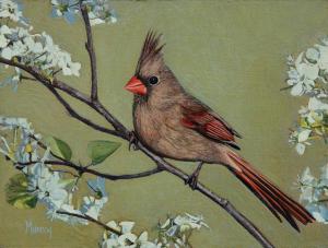 Her White Lace Northern Cardinal Female | 6" x 8" | Karla Murray