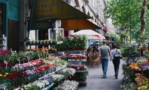 Parisian Flower Market | 15 x 24 | Navarro