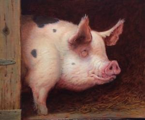 This Little Piggy | 8" x 10" | Richard Lithgow